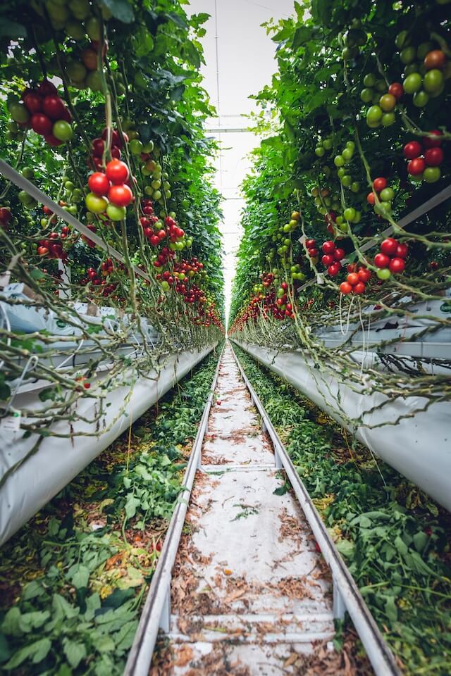 Fresh Produce & Horticulture Transport