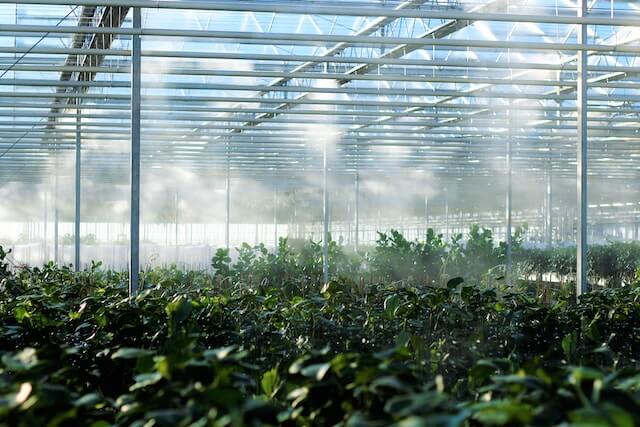 Greenhouse & Agriculture